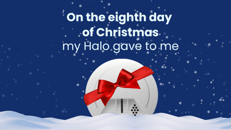 On the eighth day of Christmas | SmokeSenses