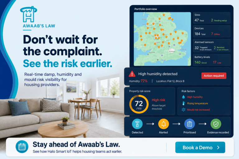 Don’t Wait for Damp and Mould to Become a Complaint